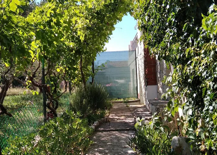 Apartamento With Parking Space - 8527 Ugljan