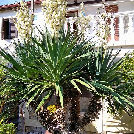 With Parking Space - 8527