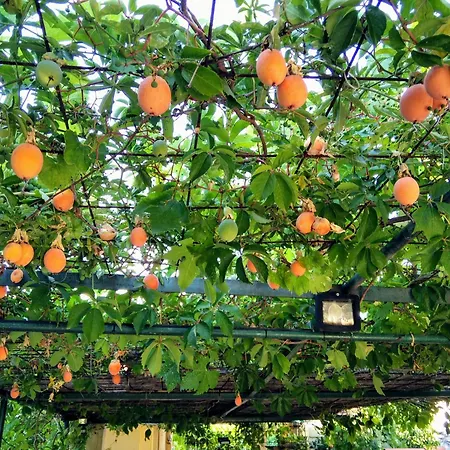 公寓 With Parking Space - 8527 *