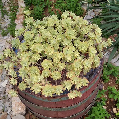 公寓 With Parking Space - 8527 乌格连