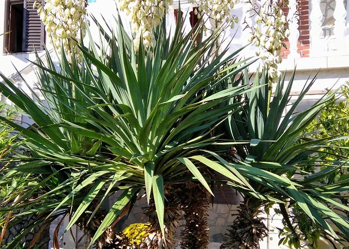 With Parking Space - 8527