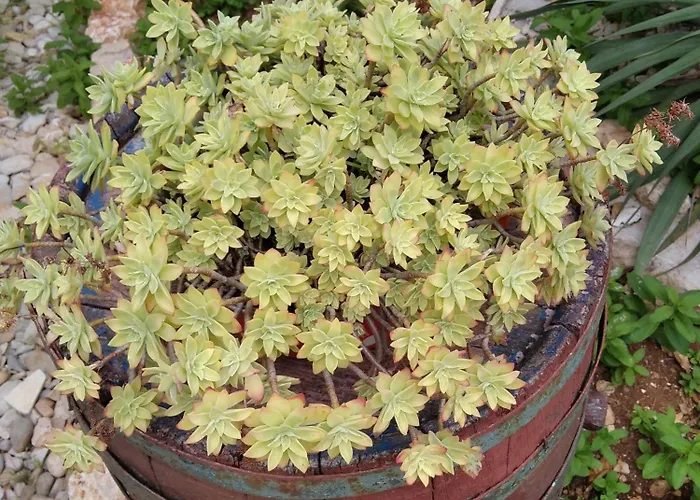 Апартаменты With Parking Space - 8527 Углян