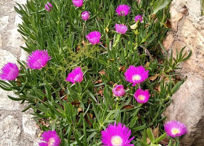 Апартаменты With Parking Space - 8527